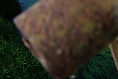 DSCF2272