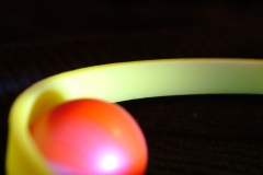 DSCF0538