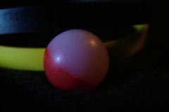 DSCF0581