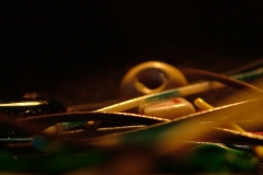 DSCF1197