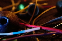 DSCF1359