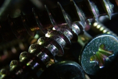 DSCF1510