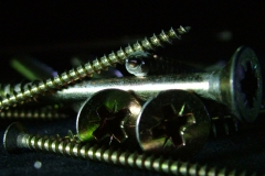 DSCF1557