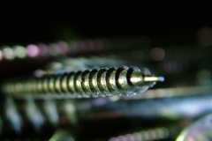 DSCF1661