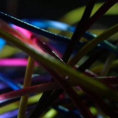 DSCF2381