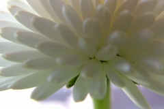 DSCF3469