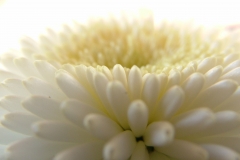 DSCF3472