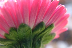DSCF3478