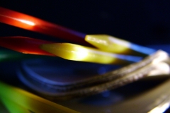 DSCF5491