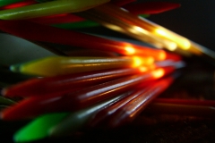 DSCF5530