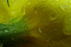 DSCF5827