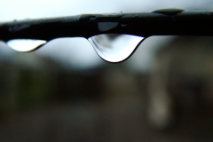 DSCF5867
