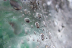 DSCF5875