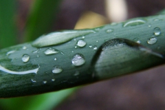 DSCF5919
