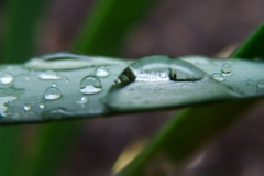 DSCF5925