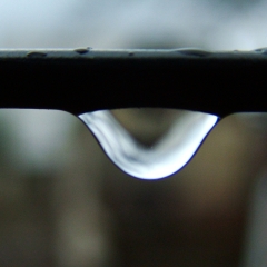 DSCF6012