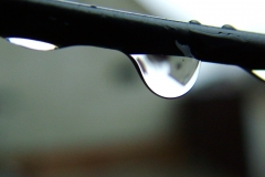 DSCF6031