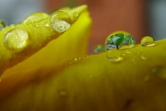 DSCF6067