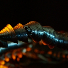 DSCF6885