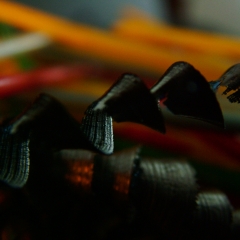 DSCF7102