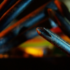DSCF7167