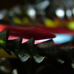 DSCF7301