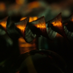 DSCF7631
