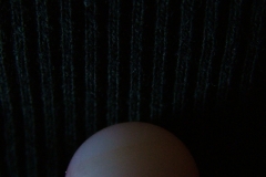 DSCF8281