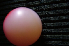 DSCF8285