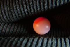 DSCF8440