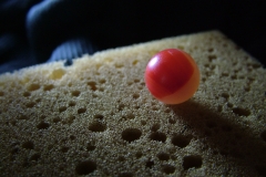 DSCF8505