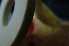 DSCF8594