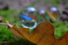 DSCF9447