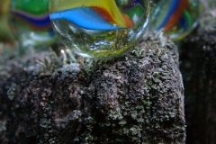 DSCF9473