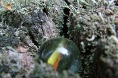 DSCF9484
